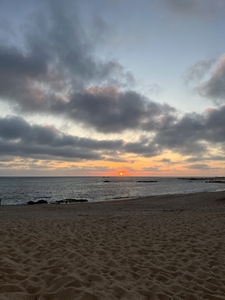 ¿Que le dejamos a este mundo? Reflexiones del día a día